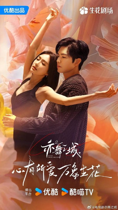 名称：亦舞之城（2025）  4K 更新至24集描述：芭蕾舞艺术家谭思婷（秦岚 饰）退役归国，欲与当年被迫分开的恋人冯睿（钟汉良 饰）破镜重圆，但是过去的误会如同天堑一般隔断两人
