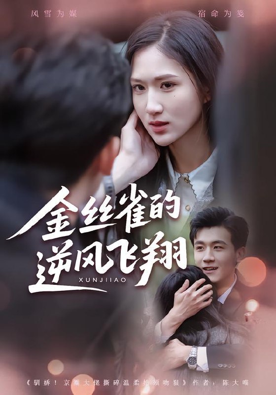 名称：2026年1月30日 短剧更新目录12描述：1.金丝雀的逆风飞翔（80集）廖帕姿&曹润辉2.靠情报系统逆袭（80集）张红瑜&贡兴3.你攀高枝当状元，我转身成皇后（61集）李亦承&汝汝同学（李汝）4.让你去实习，你拿下女总裁（70集）金瑶&王锐5.为你入狱，你却提离婚（82集）徐小浠&王言睿6.一品军侯（90集）马瑞泽&斯佳丽阿里：