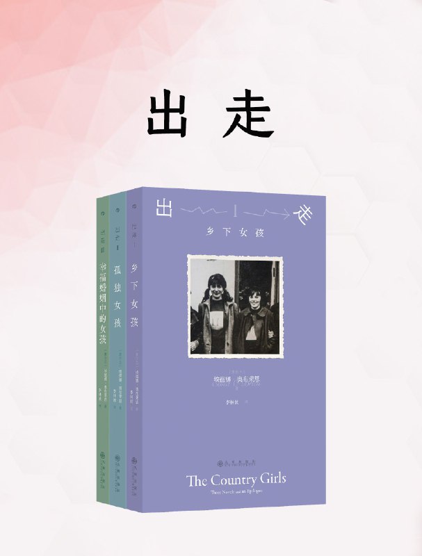 名称：《出走》（azw3+epub+mobi+pdf)描述：这是一部跨越修道院、都柏林与伦敦的成长史诗