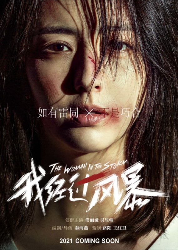 名称：我经过风暴 (2023) 4K 高码描述：看似事业有成、儿女双全的徐敏（佟丽娅 饰）却有着难以启齿的秘密：她被丈夫陈均（吴昱翰 饰）长期家暴