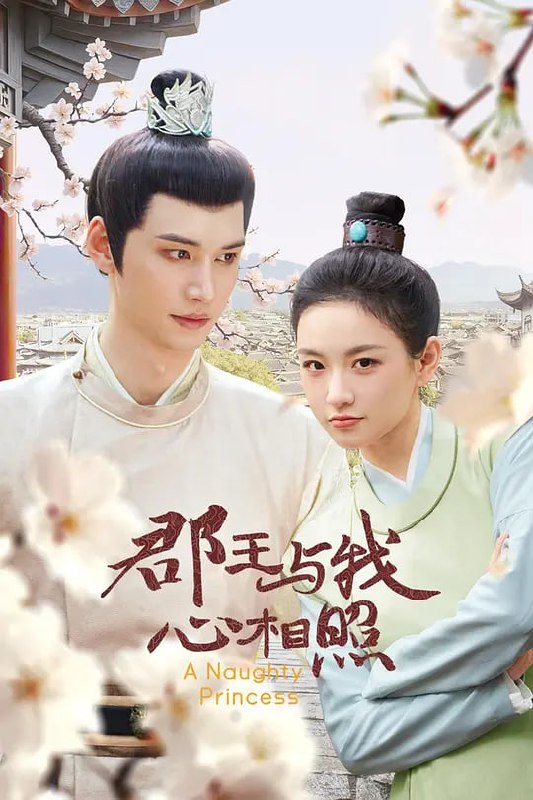 名称：郡王与我心相照 (2025)描述：故事讲述了不知自己身世，前来翠雨山庄投亲的女子怜香，在山庄被毁后无奈流落异乡，幸得郡王白忆寒收留进府当了随从