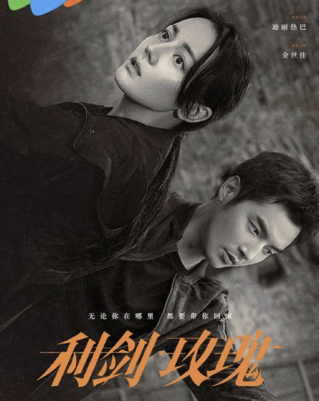 名称：利剑·玫瑰 (2025) 4K 全集描述：剧集讲述了林山市公安局打拐办主任邓妍（迪丽热巴 饰）与警员常锐（金世佳 饰）、副主任尹建生（尤勇智 饰）组成