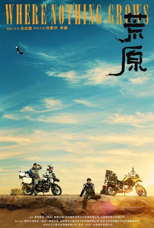 名称：荒原 (2022)描述：三十岁出头的丛林（任素汐 饰）如何也想不到，与哥哥丛来（李晨 饰）的又一次戈壁“寻人之旅”，会被一场沙暴推向生命绝境