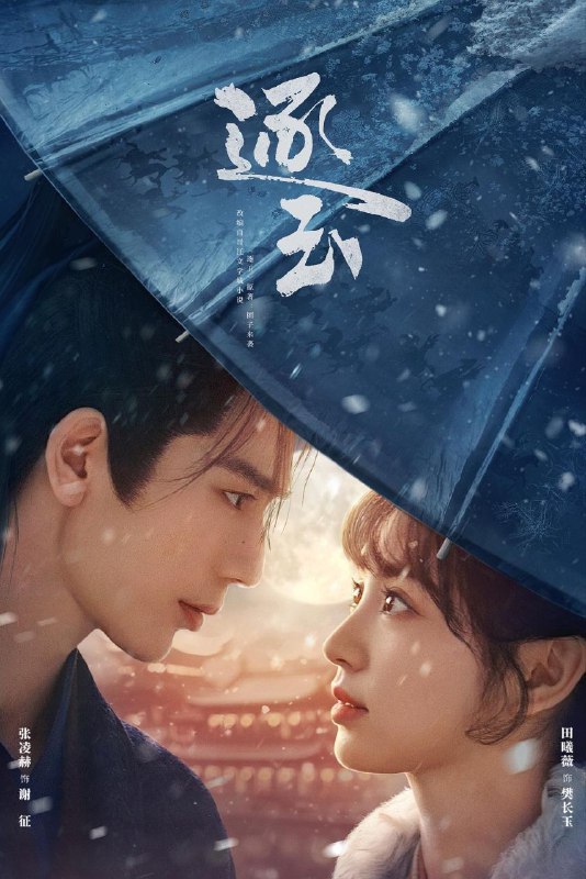 名称：逐玉 (2026) 4K DoVi 高码率 [HDR.Vivid.60fps] [杜比全景声] [更新27集]描述：该剧改编自晋江文学城团子来袭的小说《逐玉》