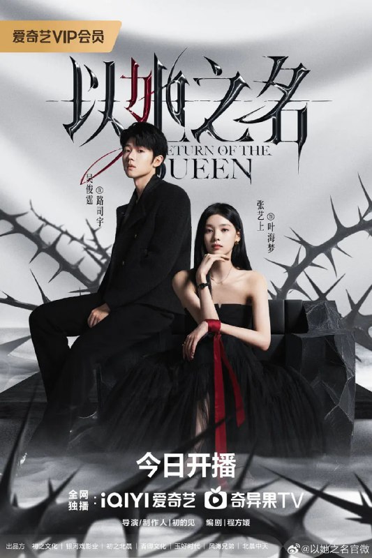 名称：以她之名 (2025)描述：该剧围绕28岁的云海洲际集团千金叶海梦展开，经历重大变故重生后，她决心复仇，誓要揭露光鲜背后的阴暗秘密