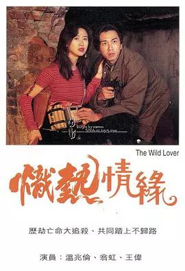 名称：炽热情缘 (1995) 1080P 粤语描述：潘耀华（温兆伦饰）本是一位前途似锦的工程师，奈何忠直的他却被上司利用，成为代罪羔羊