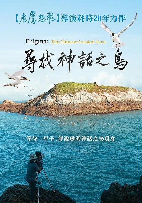 名称：寻找神话之鸟 尋找神話之鳥 (2021)描述：寻找神话之鸟二十年，它们的数量从八只，到现在约一百只，仰赖迁徙路径上，各国的保育行动